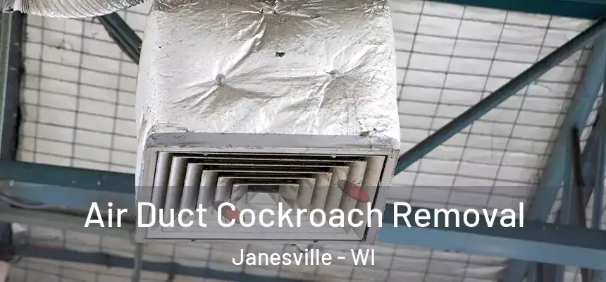 Air Duct Cockroach Removal Janesville - WI