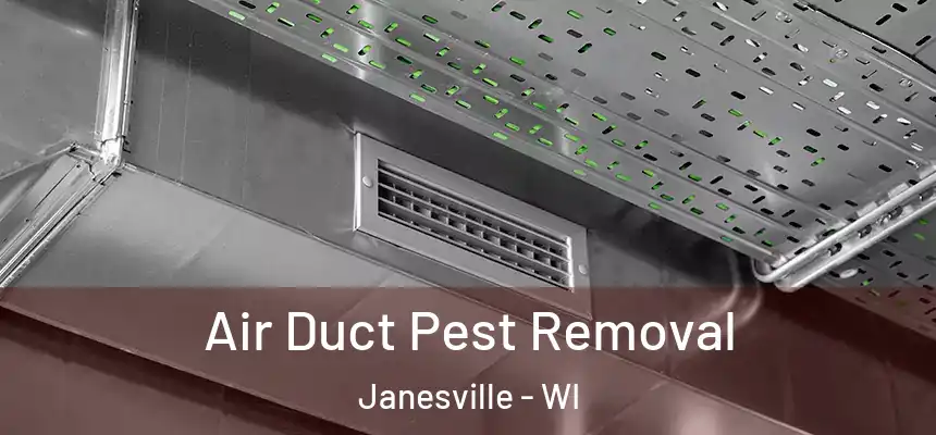 Air Duct Pest Removal Janesville - WI