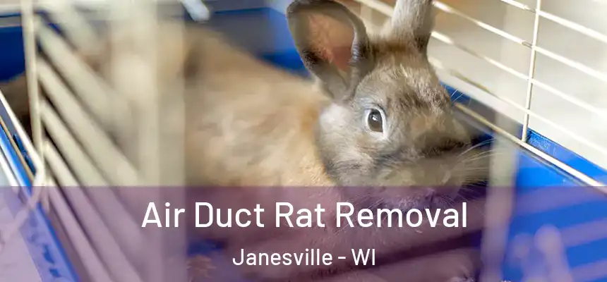 Air Duct Rat Removal Janesville - WI