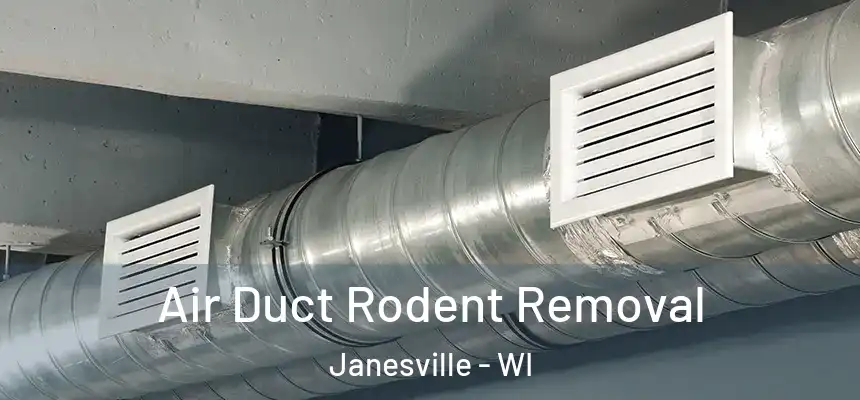 Air Duct Rodent Removal Janesville - WI