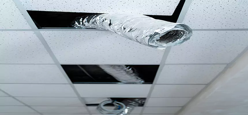 Our Air Duct Pet Hair Removal Services in Janesville, WI