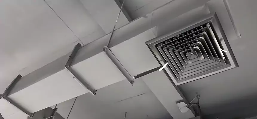 Our Pest Removal From Ducts Services in Janesville, WI