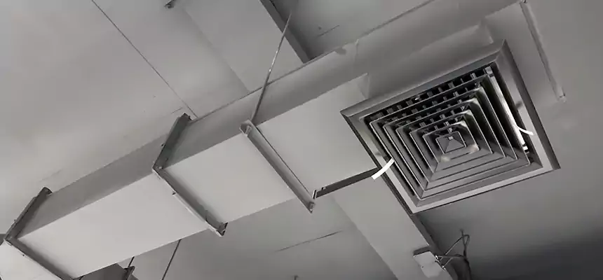 Our Rodent Droppings In Vents Services in Janesville, WI