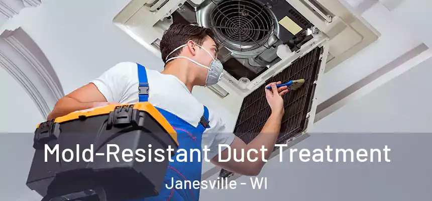 Mold-Resistant Duct Treatment Janesville - WI