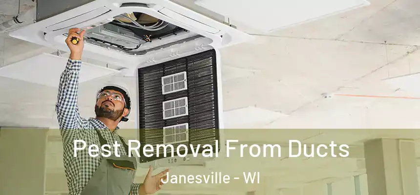 Pest Removal From Ducts Janesville - WI