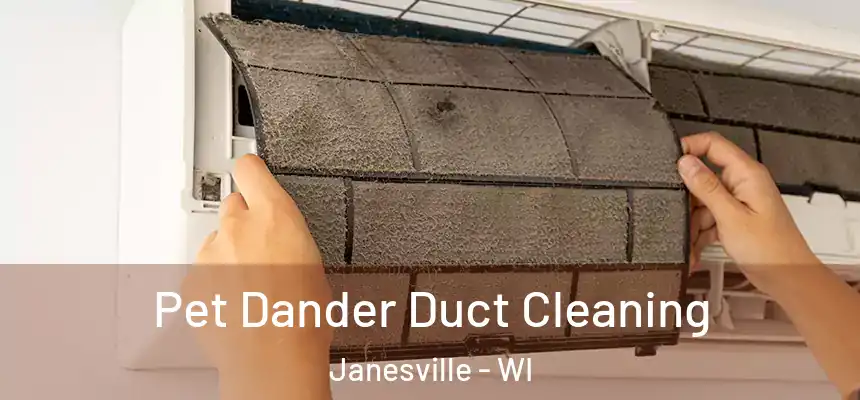 Pet Dander Duct Cleaning Janesville - WI