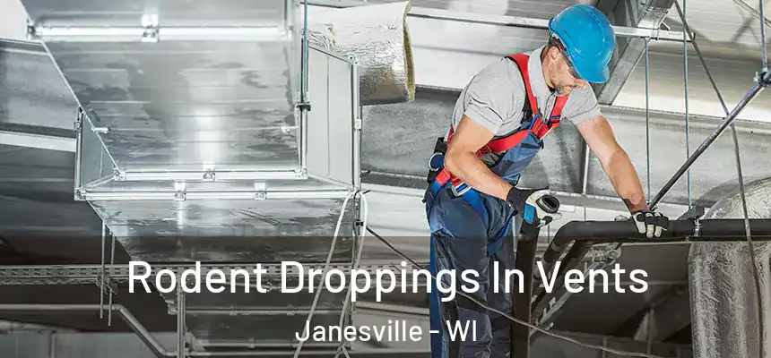 Rodent Droppings In Vents Janesville - WI