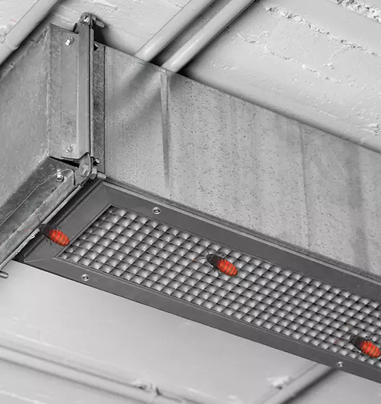 About Air Duct Cockroach Removal in Janesville, WI