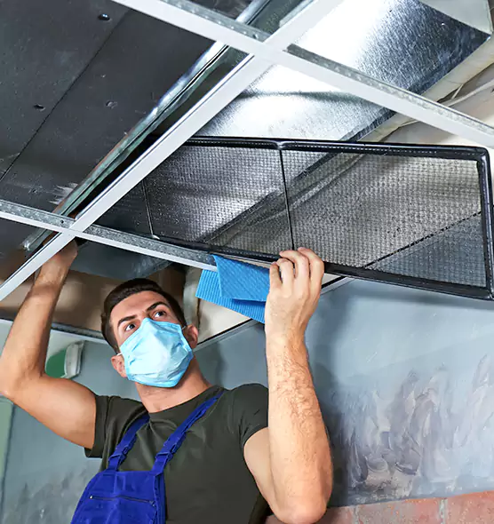 Professional Air Duct Pollen Cleaning in Janesville, WI