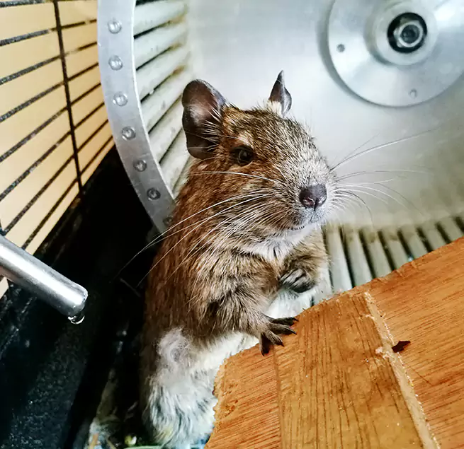 Why Homeowners & Businesses Trust Us Janesville, WI