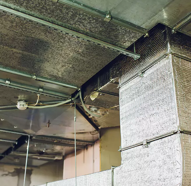 Why Homeowners & Businesses Trust Us in Janesville, WI?